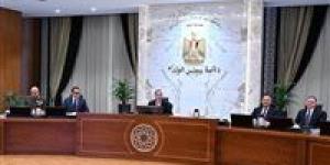 رئيس الوزراء: سددنا 5 مليارات دولار من مستحقات الشركاء الأجانب في قطاع البترول - جريدة هرم مصر