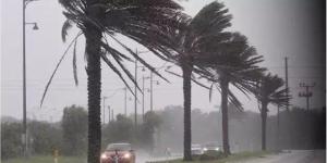 أمطار ورياح.. «الأرصاد» تعلن حالة الطقس اليوم الأربعاء 21 يناير 2026 - جريدة هرم مصر