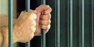 حبس سائق ميكروباص 4 أيام بعد دهس شخص بالطريق الدائري في المرج - جريدة هرم مصر