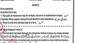 إجابة امتحان Science التجريبي (العلوم) للصف الثالث الإعدادي 2026 محافظة الجيزة - جريدة هرم مصر