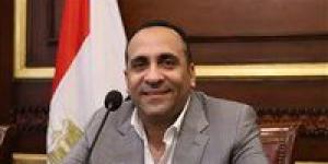 نادر نسيم: كلمة السيسي في دافوس تعكس استراتيجية مصر للسلام والتنمية وجذب الاستثمار العالمي - جريدة هرم مصر