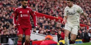 مشاهدة مباراة ليفربول ضد مارسيليا في دوري أبطال أوروبا اليوم - جريدة هرم مصر