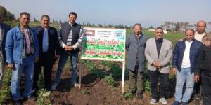 «الزراعة» تتفقد البرامج البحثية وحقول التقاوي بالبحيرة لمتابعة حالة المحاصيل الشتوية - جريدة هرم مصر