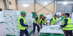 جمعية الأورمان بأسوان: تجهيز 40 ألف كرتونة رمضان لدعم الأسر الأولى بالرعاية قبل الشهر الكريم - جريدة هرم مصر