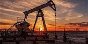 65.3 دولار للبرنت و60.7 للخام الأمريكي.. تصريحات ترامب تُنعش أسواق النفط - جريدة هرم مصر