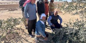 «الزراعة» تواصل تفقد التجمعات التنموية بشمال وجنوب سيناء - جريدة هرم مصر