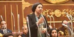 «عيب…المسألة مشينة اجتماعياً»..النائبة أميرة صابر تحذر من عودة منع السيدات من الإقامة بالفنادق دون الأربع نجوم بمفردهن - جريدة هرم مصر