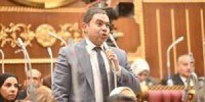 الشرقاوي : يطالب باستثناء المصريين المقيمين بالخارج من قرار إنهاء الإعفاء الجمركي للهواتف - جريدة هرم مصر