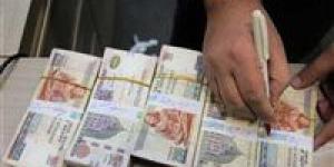 أعلى شهادة ادخار في مصر بعائد يصل إلى 18 ٪ - جريدة هرم مصر