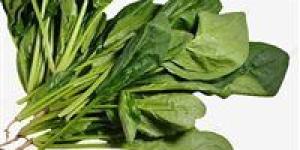 خبير توعوي يحذر: خطأ شائع في تخزين بعض الأغذية يضاعف مخاطرها الصحية - جريدة هرم مصر