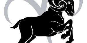 توقعات الأبراج حظك اليوم لـ برج الجدي.. لا تهدر وقتك بالتفكير - جريدة هرم مصر