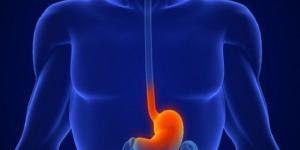 دراسة: العلاج الكيميائي يعزز دور ميكروبات الأمعاء في مكافحة انتشار الأورام الثانوية - جريدة هرم مصر