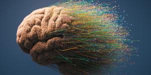 السمنة وارتفاع ضغط الدم يرفعان خطر الإصابة بالخرف - جريدة هرم مصر