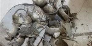 آلاف الفئران تغزو نهر عطبرة ورعب بين السكان.. ماذا يحدث في السودان؟ - جريدة هرم مصر