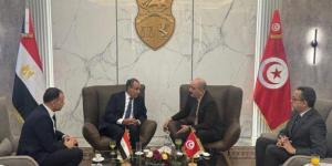 وزير الخارجية يصل إلى مطار قرطاج للمشاركة في الاجتماع الثلاثي حول ليبيا - جريدة هرم مصر