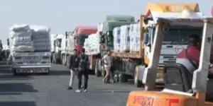 إكسترا نيوز : آلاف الأطنان من المساعدات بالقافلة رقم 124 إلى قطاع غزة.. فيديو - جريدة هرم مصر