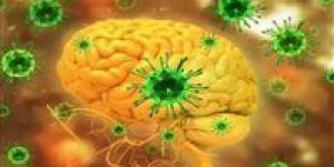 فيروس "نيباه" يصير الرعب في الهند.. إصابات وحالات حرجة بين الأطباء والممرضين - جريدة هرم مصر