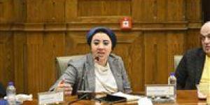النائبة أميرة صابر: منصة رقمية موحدة لذوي الإعاقة ضرورة للانتقال من الرعاية إلى التمكين الشامل - جريدة هرم مصر