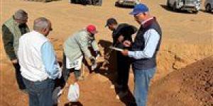 على مساحة 78 ألف فدان.. «الزراعة» تواصل إعداد دراسات حصر وتصنيف بمشروع «سنابل سون» - جريدة هرم مصر