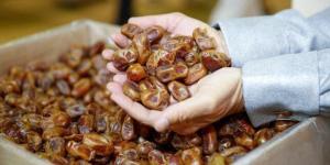 مصر تحتل المرتبة الأولى عالميًا في إنتاج التمور بـ 2 مليون طن سنويًا - جريدة هرم مصر