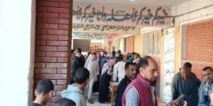 الهيئة الوطنية للانتخابات تستأنف على حكم بطلان انتخابات دائرة منيا القمح - جريدة هرم مصر