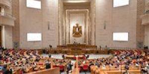 تحيا مصر ينشر نص مشروع قانون «الشعب الجمهوري» لحماية الأطفال من مخاطر الإنترنت - جريدة هرم مصر