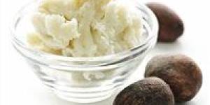 زبدة الشيا المخفوقة وجوز الهند..وصفة طبيعية تحول بشرتك إلى حرير سحر انثوي تصنعية بنفسك - جريدة هرم مصر