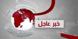 لن ننسى فلسطين - جريدة هرم مصر