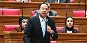 «الحكومة بتقترض عشان تسدد وبعدين تسدد عشان تقترض».. النائب حسن عمار يرفض الحساب الختامي ويحذر من تفاقم الديون - جريدة هرم مصر