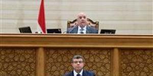مجلس النواب يحيل مشروع قانون الحماية الرقمية وتصنيف المحتوى الأخلاقي للأطفال للجنة مشتركة لمناقشته - جريدة هرم مصر