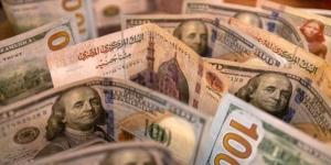 فقد 87 قرشا دفعة واحدة.. هبوط كبير في سعر الدولار أمام الجنيه المصري - جريدة هرم مصر
