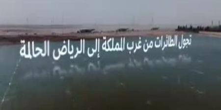 المملكة تقود تحوّل قطاع الخدمات اللوجستية العالمية - هرم مصر