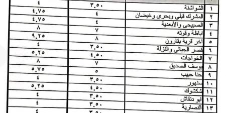 بعد تحريك أسعار البنزين والسولار..محافظ الفيوم: الإعلان عن تعريفة الركوب الجديدة لسيارات الأجرة والتاكسي