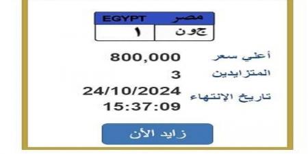 «ج و ن 1».. لوحة سيارة وصل سيارة لـ 800 ألف جنيه