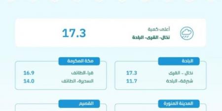 "البيئة": 8 مناطق تسجل هطول الأمطار في 36 محطة والباحة تتصدر بـ 17.3 ملم