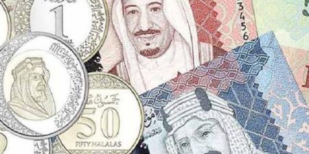 سعر الريال السعودي اليوم السبت 10-5-2025 فى مصر - هرم مصر