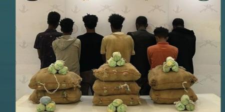 في 4 مناطق.. ضبط 16 شخصا بتهمة تهريب وترويج المخدرات - هرم مصر