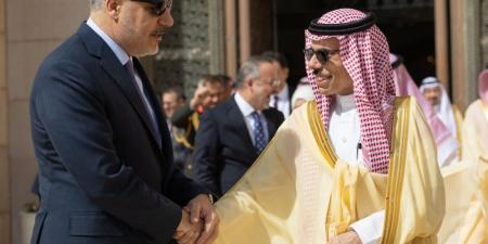 وزير الخارجية ونظيره التركي يترأسان اجتماع المجلس التنسيقي بين البلدين - هرم مصر