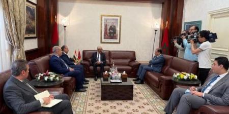 وزير الخارجية والهجرة المصري يلتقي رئيس مجلس النواب المغربي في الرباط لتعزيز العلاقات الثنائية - هرم مصر