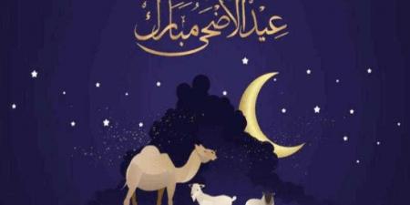 مجلس الوزراء يعلن موعد إجازة رسمية بمناسبة عيد الأضحى المبارك - هرم مصر