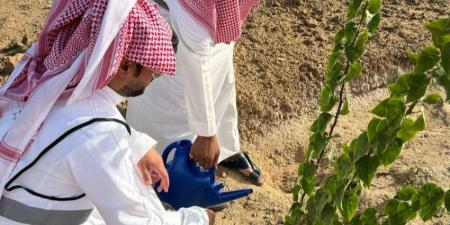 بيئة رنية تنفذ مبادرتي سقيا المزروعات وتوزيع المياه - هرم مصر