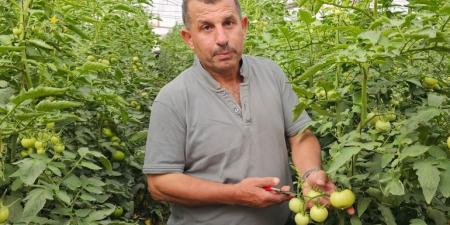 كيف عوّضت الأرض فلسطينيا بعد فقدان عمله خلال الحرب؟ - هرم مصر