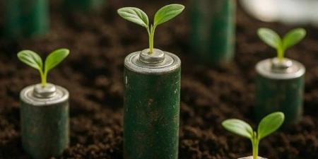 تقنية جديدة تحول نفايات البطاريات إلى طاقة متجددة - هرم مصر