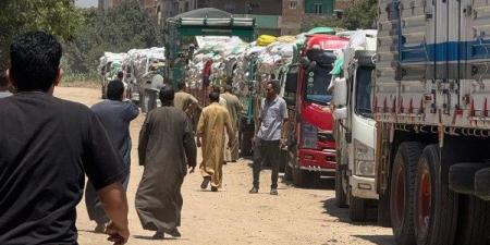محافظ المنوفية: توريد 100 ألف طن قمح منذ بداية الموسم وحتى الآن - هرم مصر