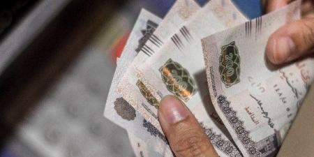 1500 جنيه دعمًا قبل العيد.. تفاصيل صرف منحة عيد الأضحى للعمالة غير المنتظمة - هرم مصر