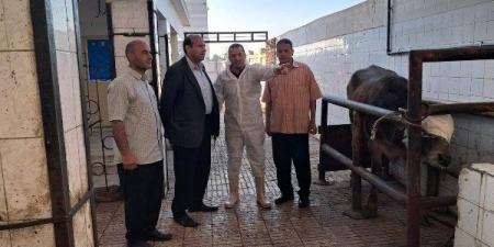 استعدادا لعيد الأضحى.. الخدمات البيطرية تعلن تطوير 8 مجازر في 5 محافظات - هرم مصر