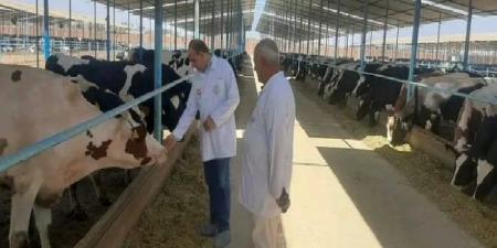 لتدشين المرحلة الثانية من المبادرة الرئاسية"احلم".. .وزير الزراعة فى جولة بمزرعة ومصنع هيلثي بالشرقية اليوم - هرم مصر