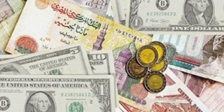 أسعار العملات العربية والأجنبية مقابل الجنيه اليوم السبت 31 مايو |فيديو - هرم مصر