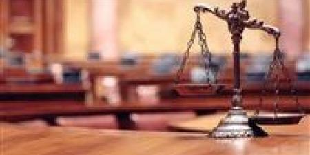 تأجيل محاكمة 3 عاطلين بتهمة سرقة المواطنين لـ 2 يونيو - هرم مصر