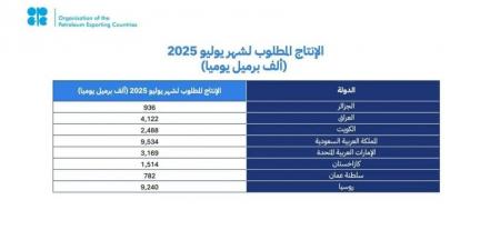 مجموعة أوبك بلس يؤكدون التزامهم باستقرار السوق البترولية - هرم مصر